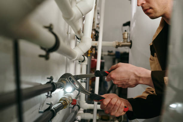 Best Clogged Drain Plumber  in Lone Jack, MO