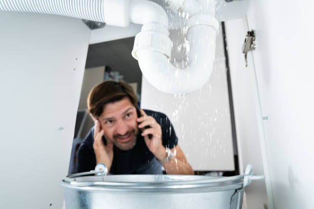 Best Plumbing Services Near Me  in Lone Jack, MO