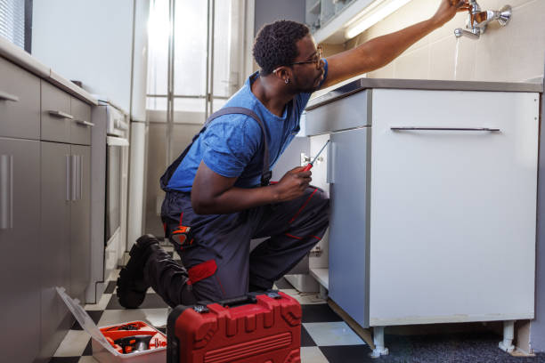 Best Local Plumber Services  in Lone Jack, MO